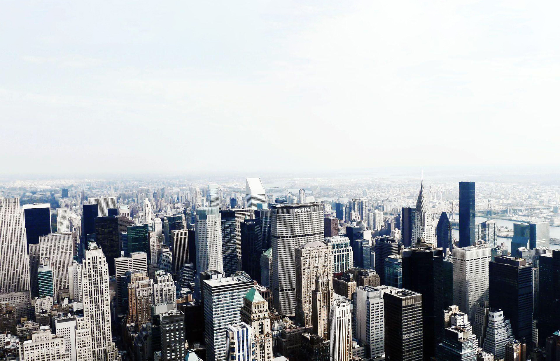 People working on laptops